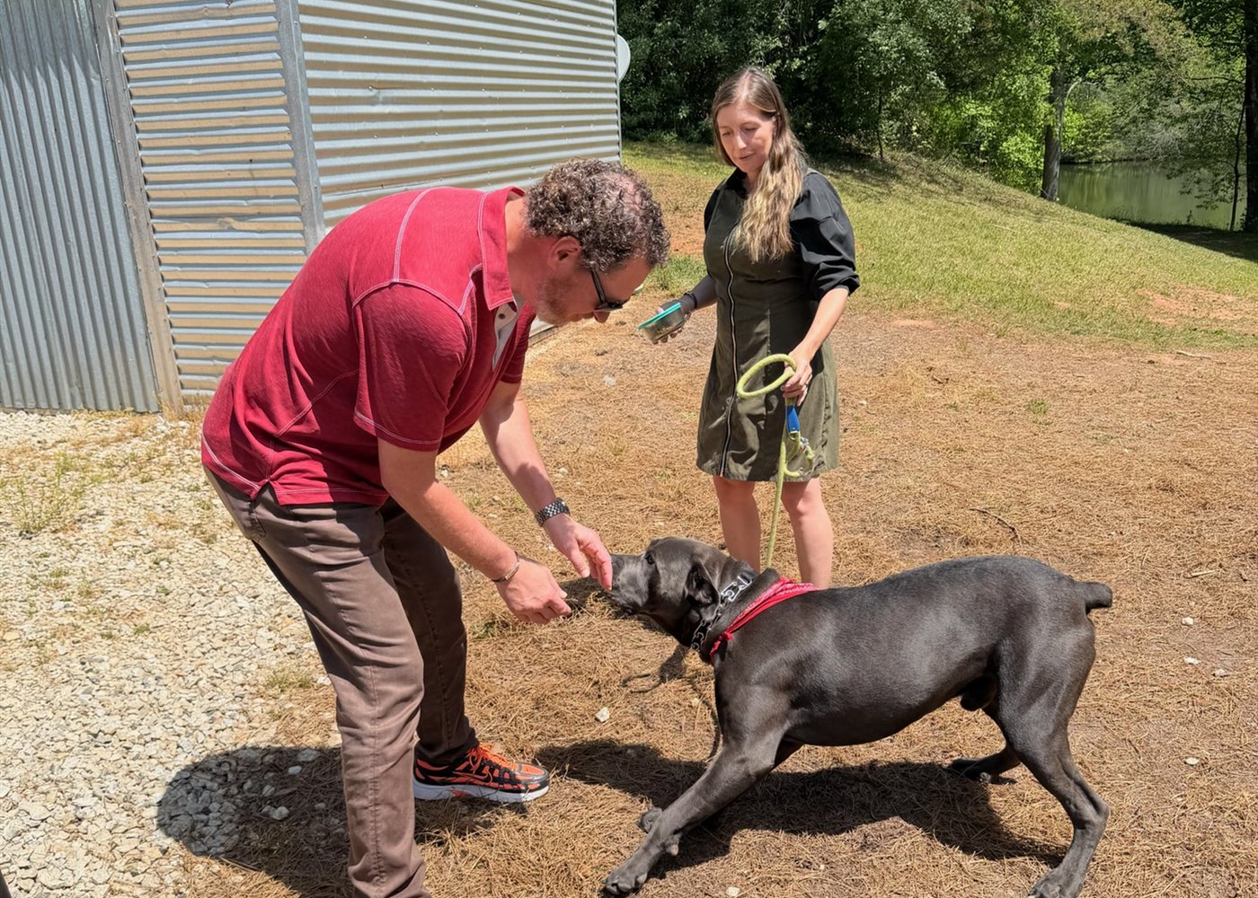 Canine therapy at a young adult program