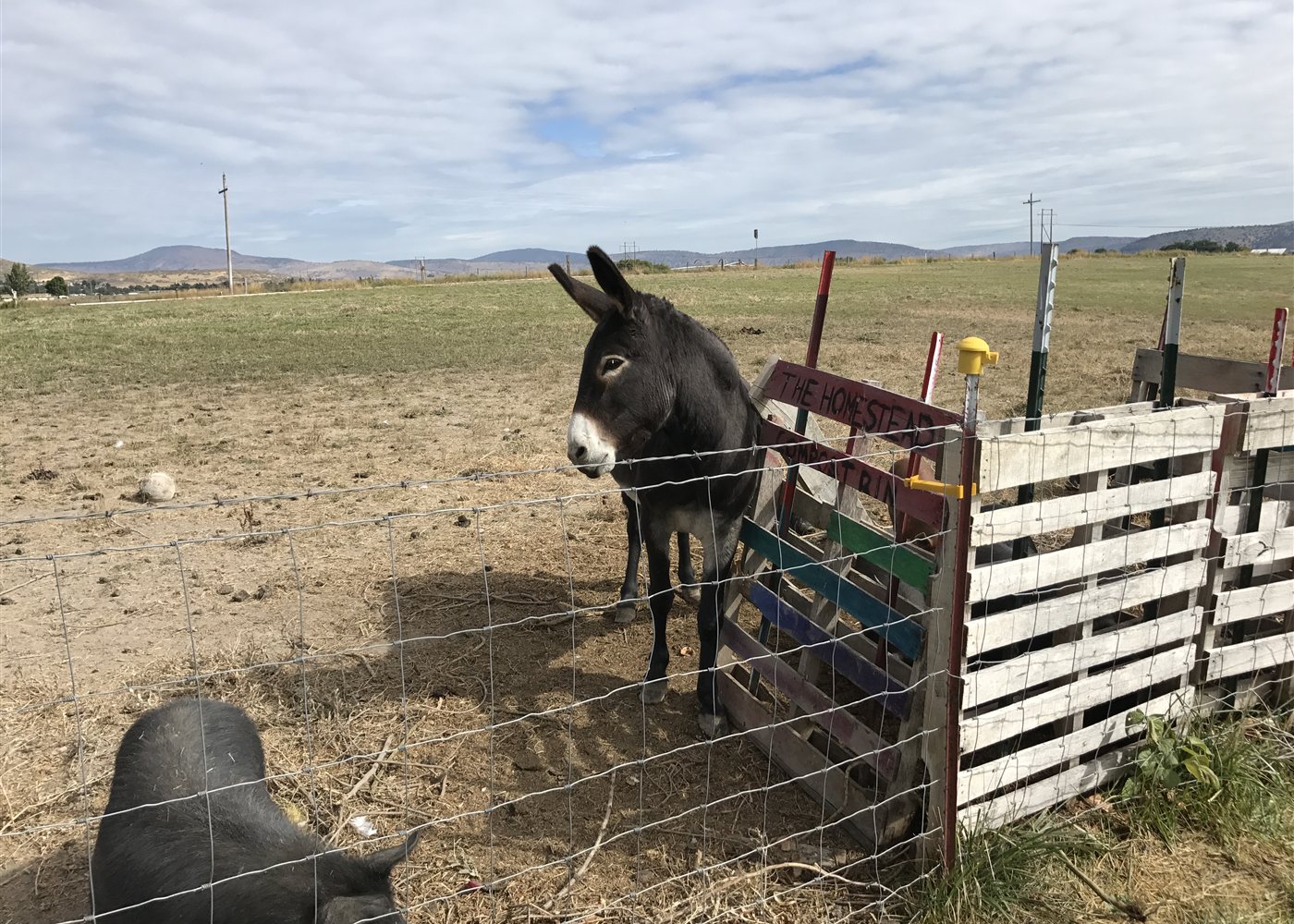 Open grounds at a therapeutic program